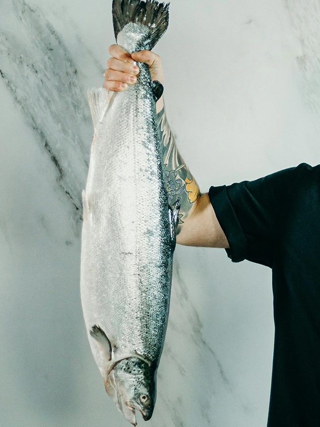 Verse zalm in hand